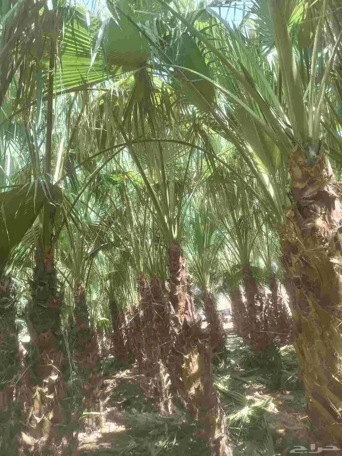 جميع مناطق الرياض 2