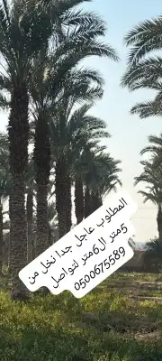 جميع أشغال أنخل 3