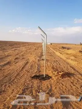شبوك بجميع المواصفات 1