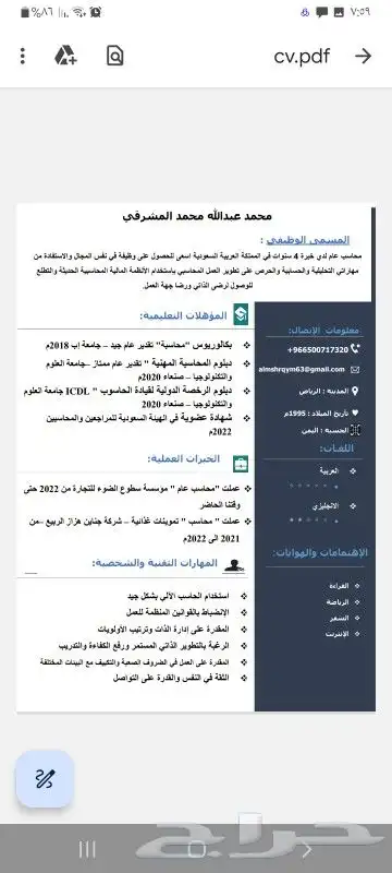 تصميم سيرة ذاتية CV 2
