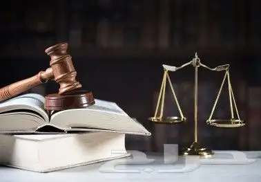 تقديم الاستشارات القانونية والتمثيل القضائي 0