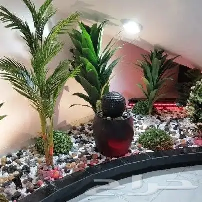 تنسيق حدائق جده تنسيق تحت الدرج 0