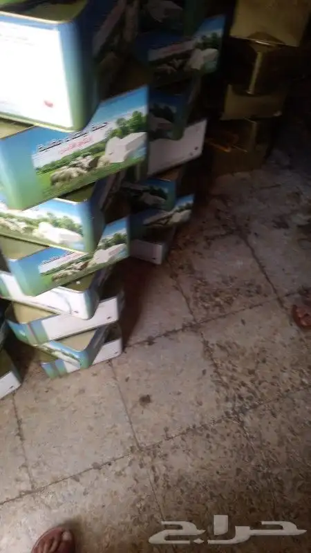 جبنه عرب مقليه 4