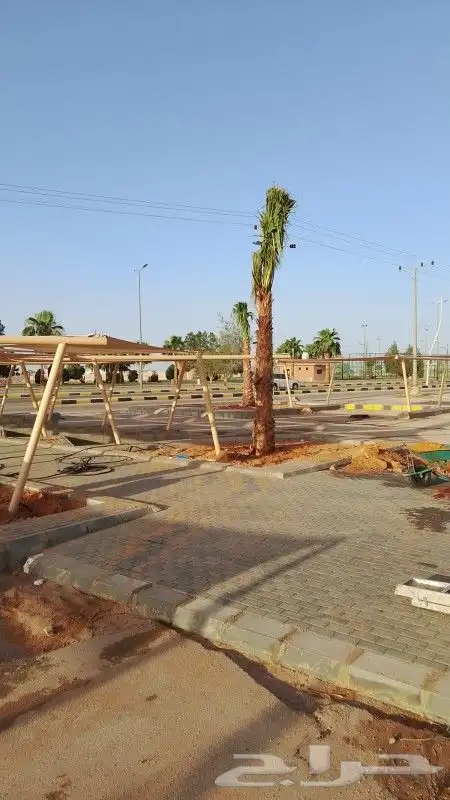 نخيل الشرقية 3