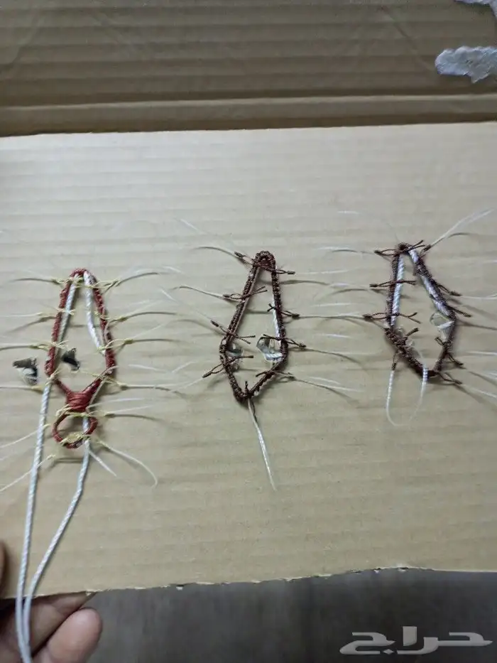 شبك لطرح الصقور 3