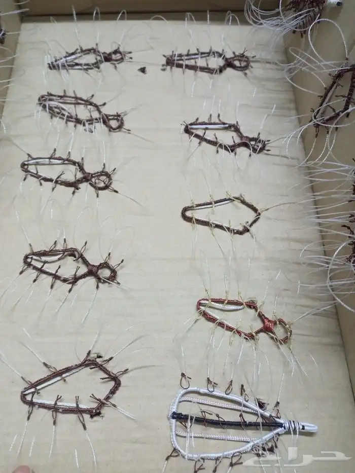 شبك لطرح الصقور 1