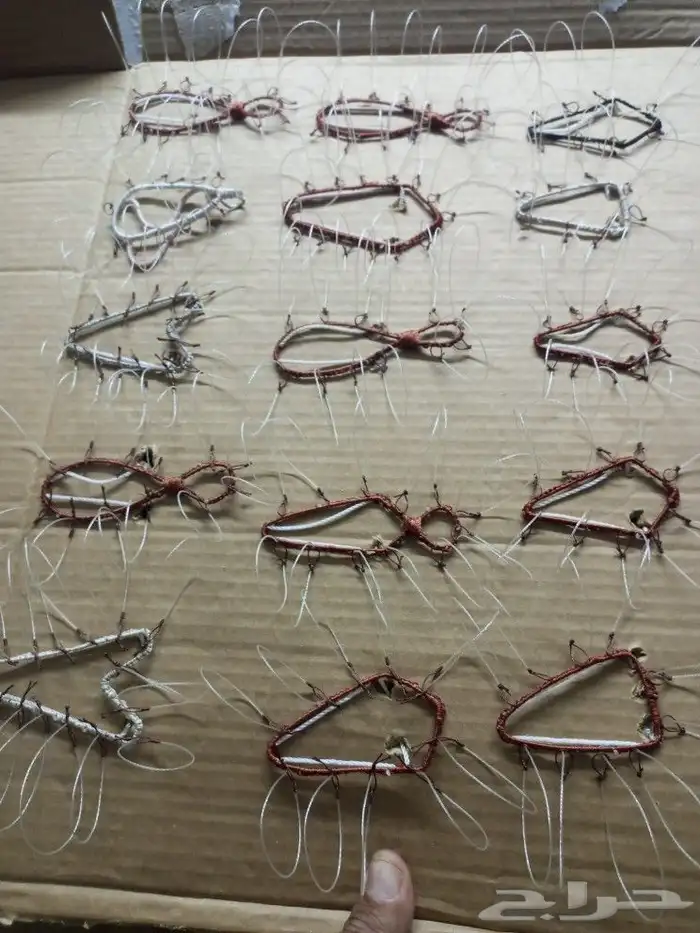 شبك لطرح الصقور 5