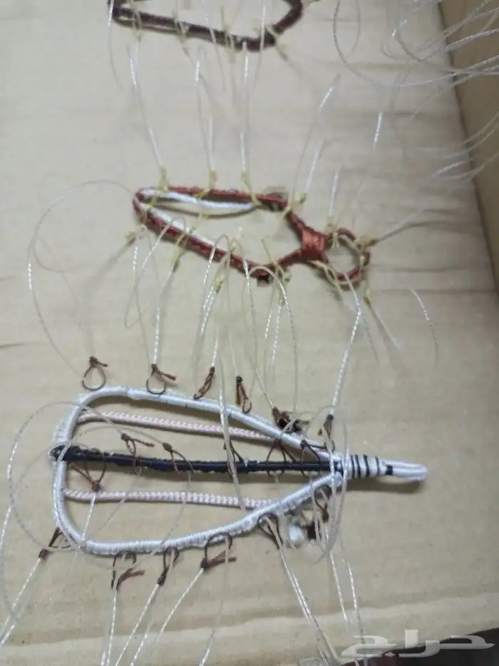 شبك لطرح الصقور 0