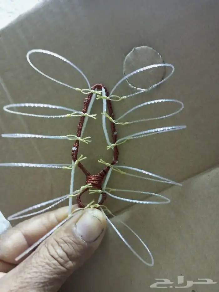 شبك لطرح الصقور 4