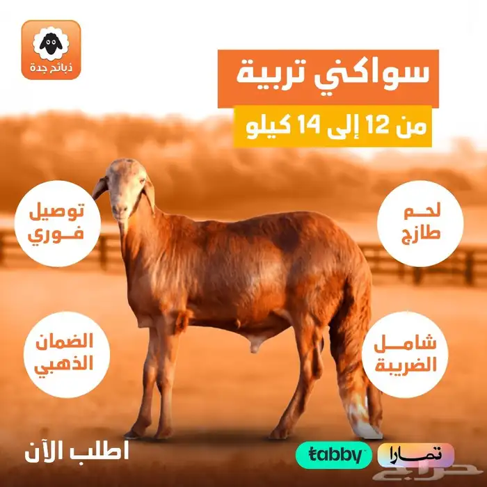 ذبايح اضاحي اضحية العيد خروف اضحيه ذبح وتوصيل - حري سواكني 0