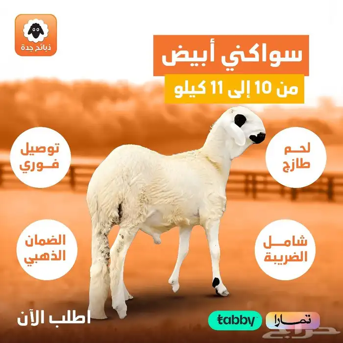 ذبايح اضاحي اضحية العيد خروف اضحيه ذبح وتوصيل - حري سواكني 3