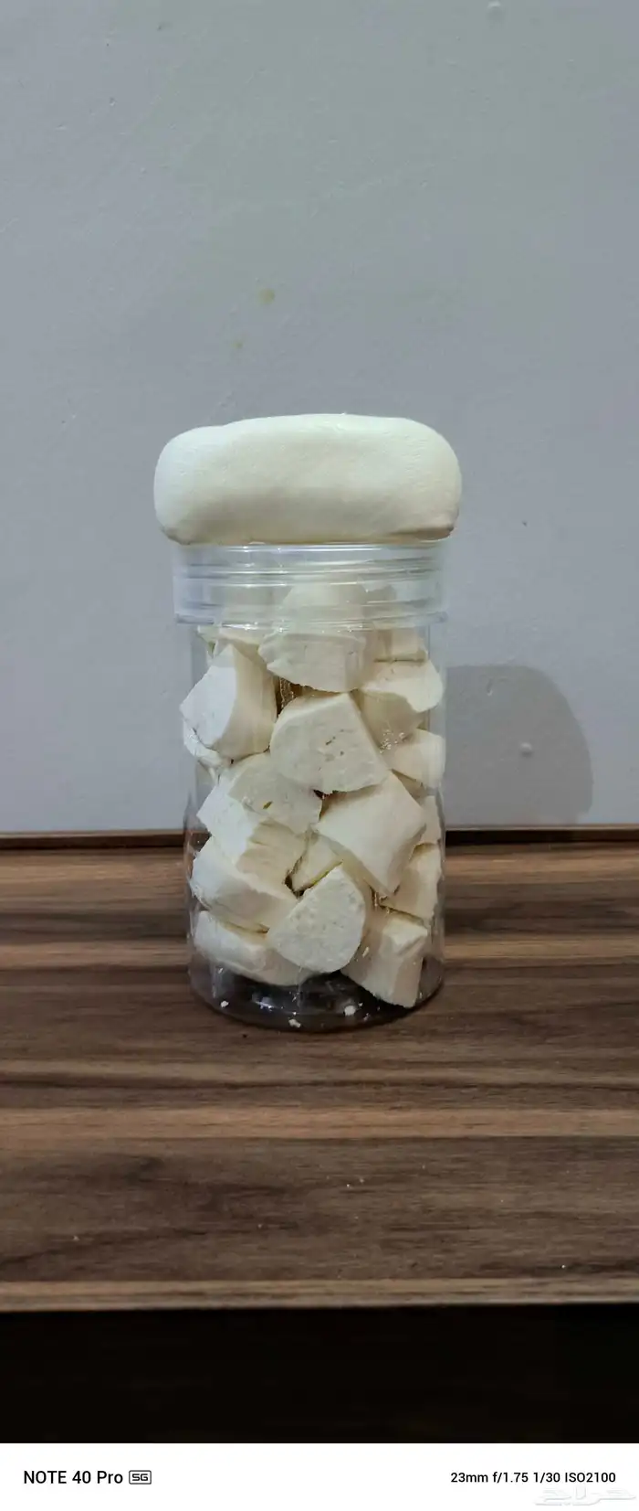 جبنة بلدي 1