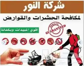 شركة رش مبيدات مكافحه حشرات غسيل خزانات تنظيف منازل مجالس 0