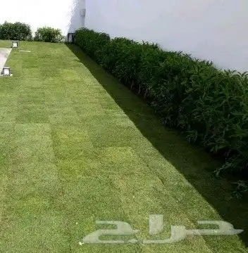 زراعة لاندسكيب وشبكات ري 6