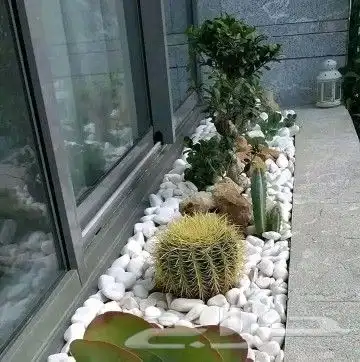 زراعة لاندسكيب وشبكات ري 1