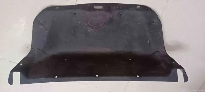 النترا من 2007 إلى 2011 5