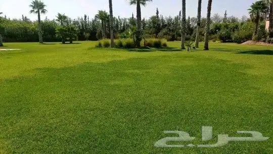 زراعة لاندسكيب وشبكات ري 5