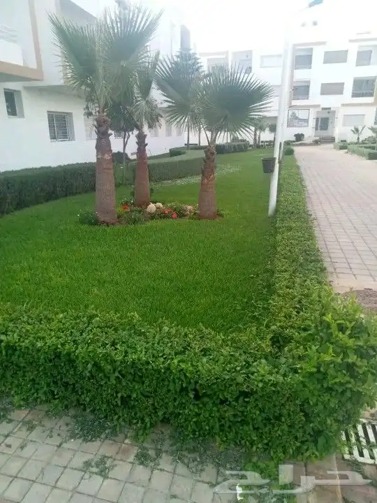 زراعة لاندسكيب وشبكات ري 0