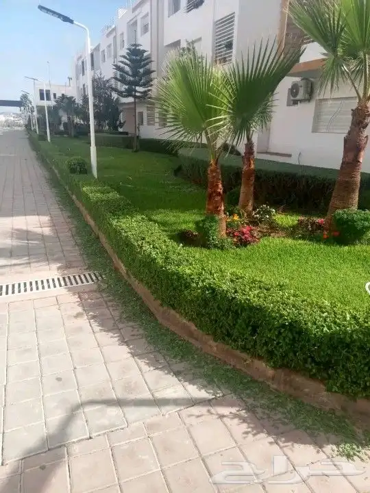 زراعة لاندسكيب وشبكات ري 3