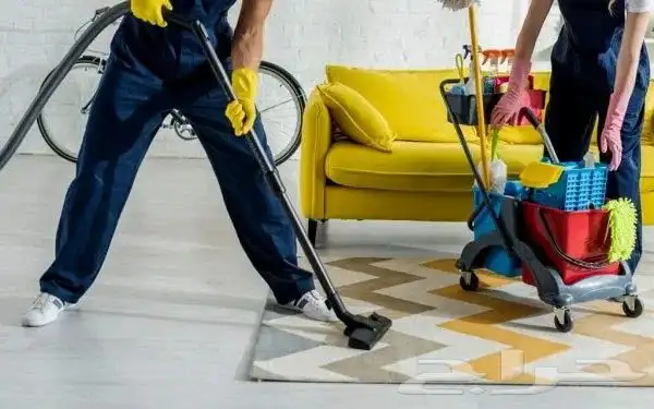 شركه مكفحه حشرات وتنظيف كنب وسجاد 2