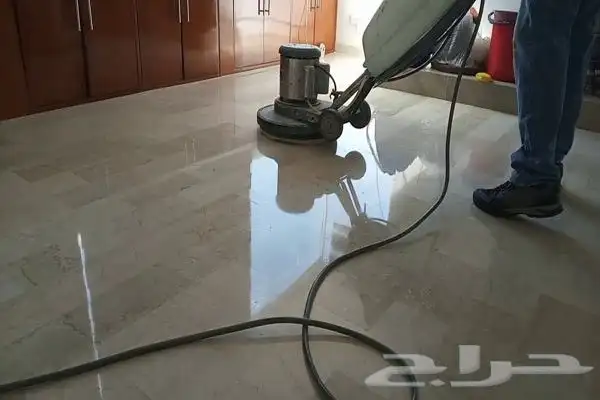 شركه مكفحه حشرات وتنظيف كنب وسجاد 0