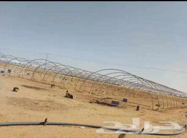 سلام عليكم مطلوب بيوت محميه البيع مستخدم اي كميه في جميع أنح 2