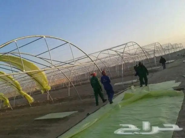 سلام عليكم مطلوب بيوت محميه البيع مستخدم اي كميه في جميع أنح 1