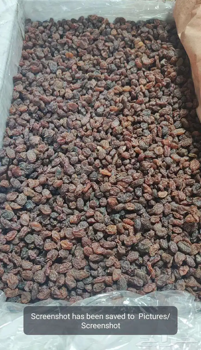 5000 كرتون زبيب افغاني للبيع 0