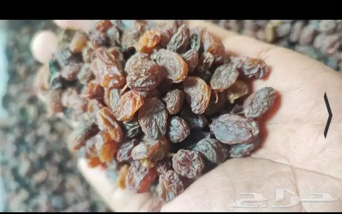 5000 كرتون زبيب افغاني للبيع 2