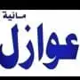 مقاولات_عامة  عوازل ضمان10 سنوات-بناء_تشطيب_ترميم 0