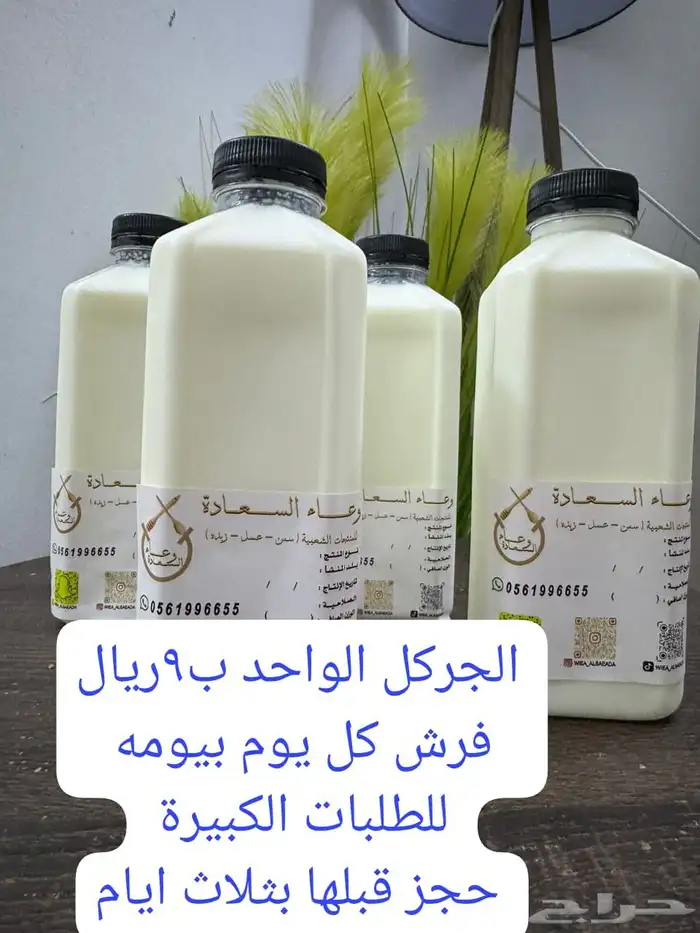 جبنة بلدي 4