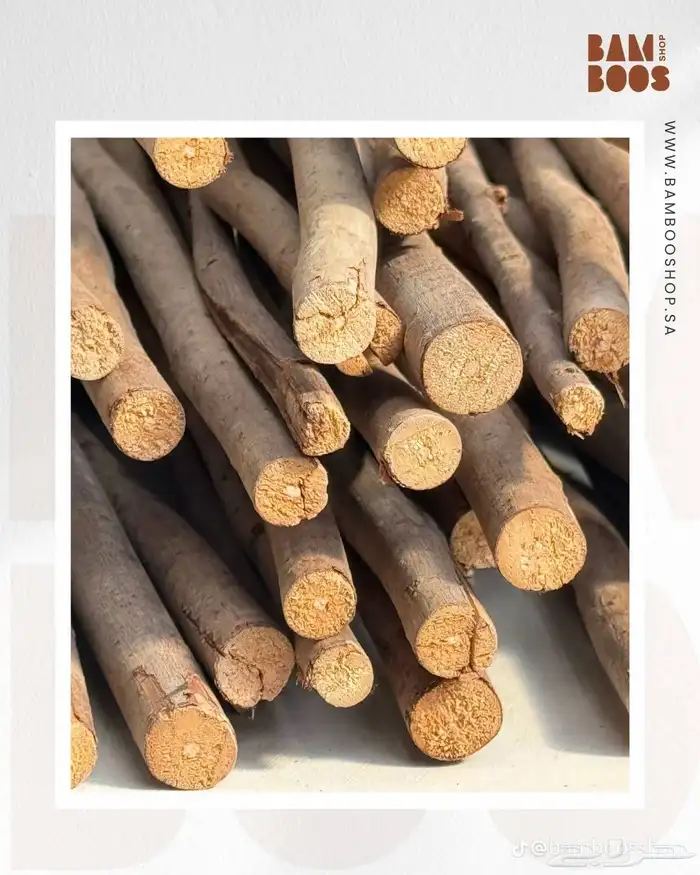 مظلات خيزران 9