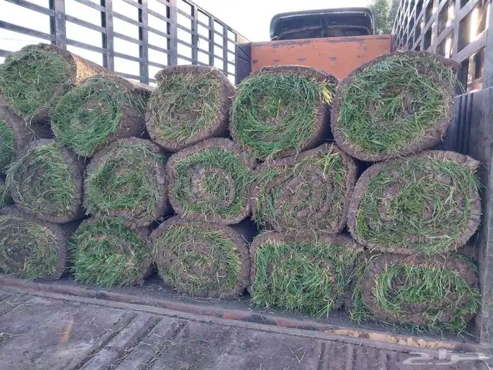 تنسيق حدائق جدة و مكه 16