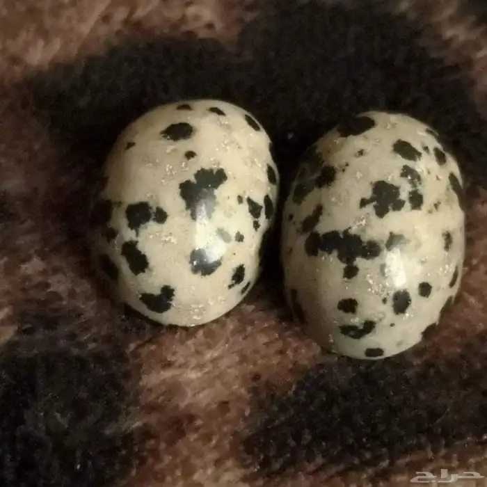 احجار المراد الطبيعي 1