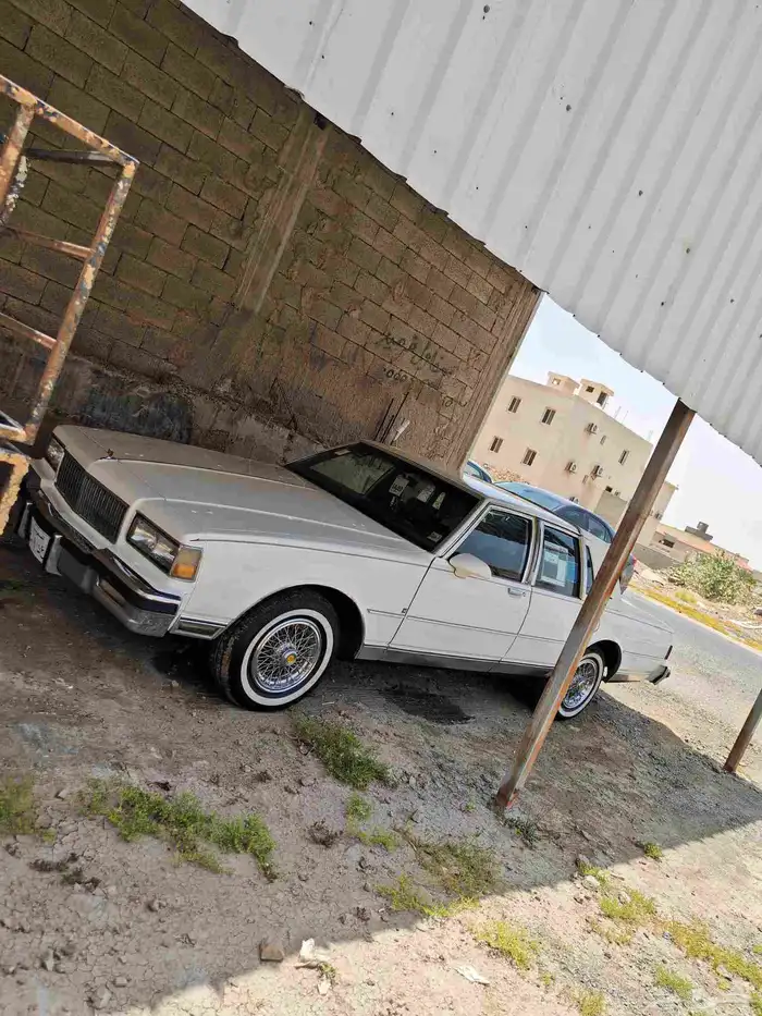 كابرس 1987 للبيع 3