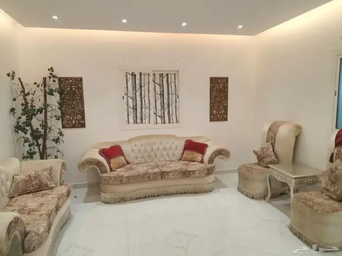 كنب وقدر طبخ و 1