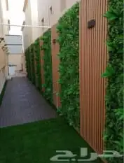 تنسيق حدائق 2