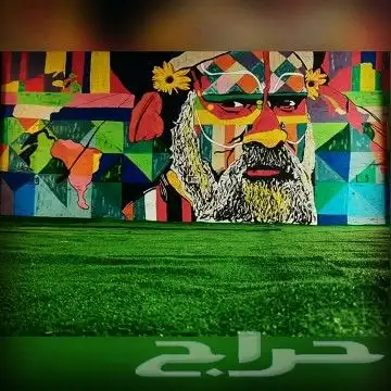 نقدم لكم البعض من الأعمال ف رسم  الجداريات الخارجية و الديك 6