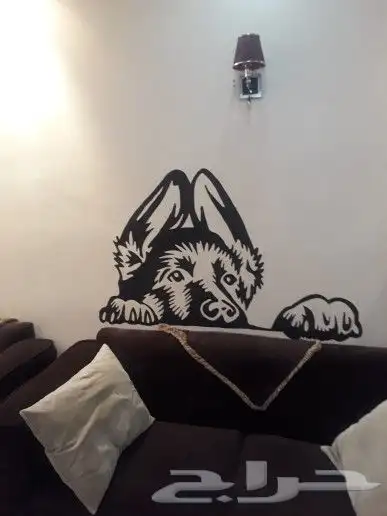 نقدم لكم البعض من الأعمال ف رسم  الجداريات الخارجية و الديك 18