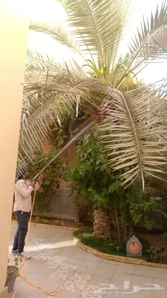 نقوم برش انخيل من الغبير 5