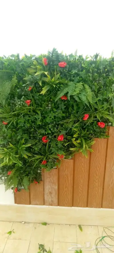 عشب صناعي جيزان انجيله تنسيق حدائق انجيله 17