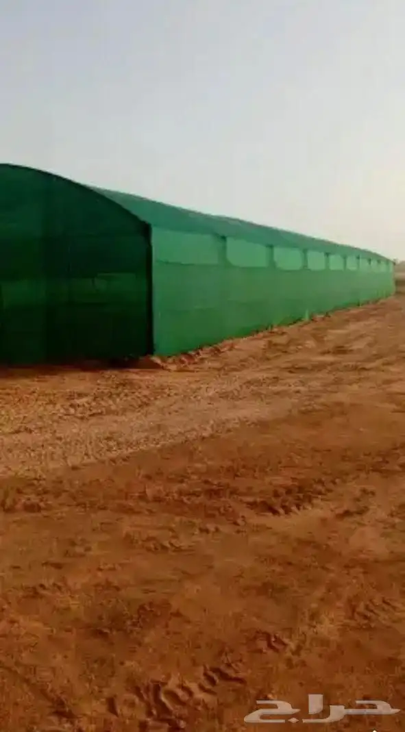 بيوت محمية صالات زراعية مشاتل 24