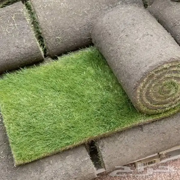 تنسيق حدائق جدة و مكه 15