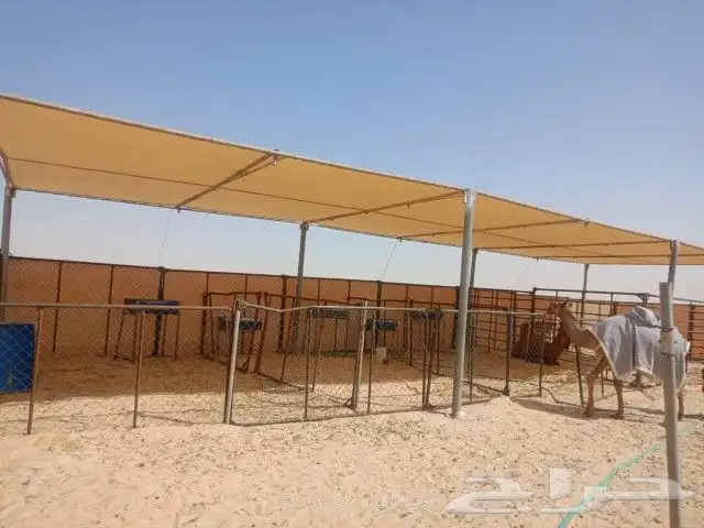 مضلات سيارت مواقف 5