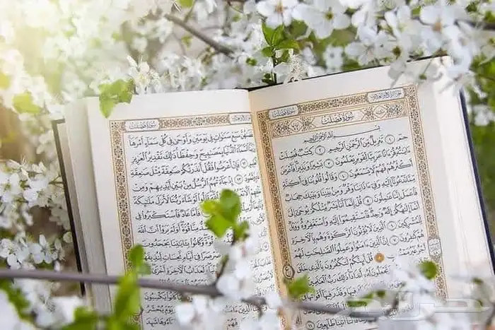 معلم قرآن 0