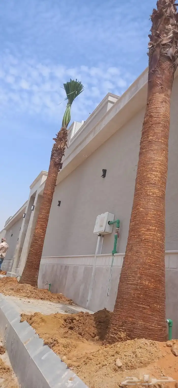 تنسيق حدائق 17