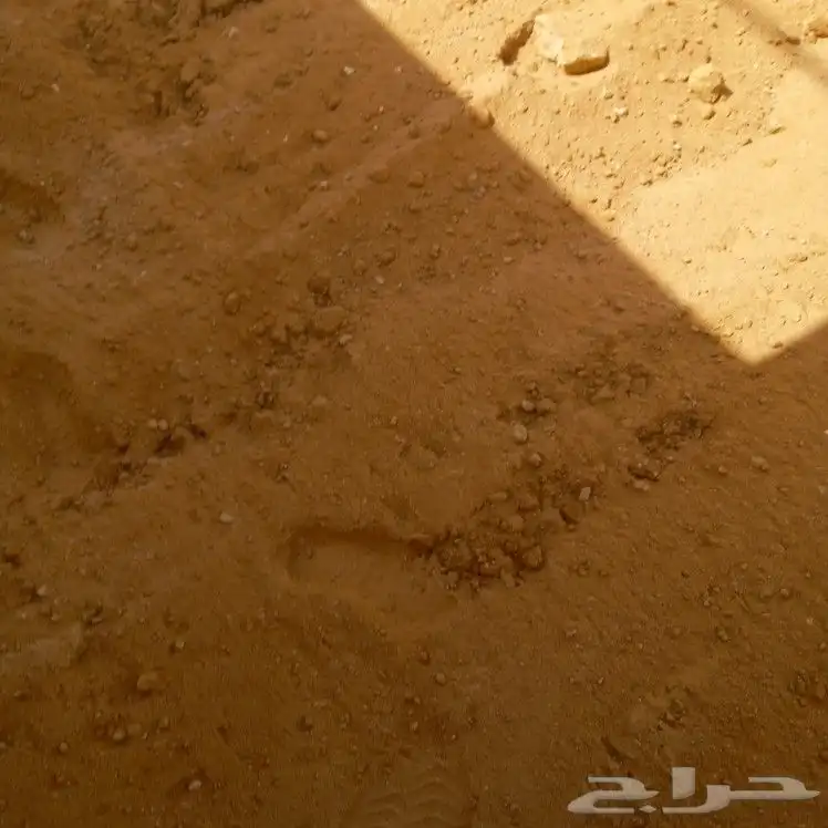 السلام عليكم ورحمه الله يوجد بقات للايجار 1