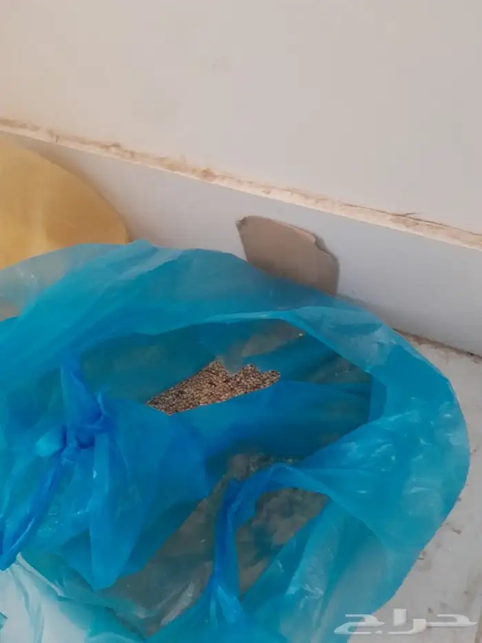 شبك روز 0