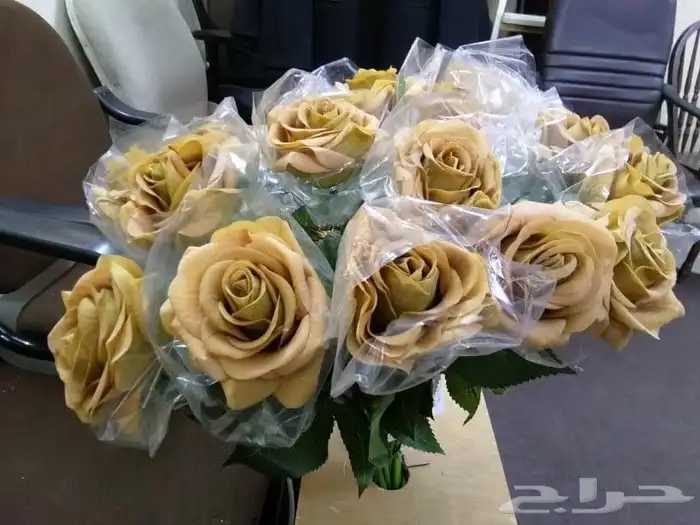 للبيع بعض المقنيات بحالة ممتازة 4