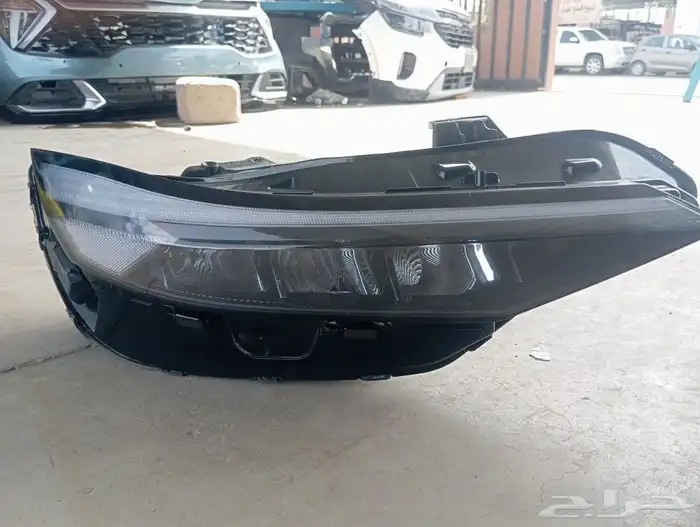 النتراء 2025صيني 2